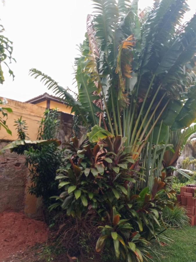 Zen Villas - Chales, Bem-Estar E Conexao Com A Natureza Lauro de Freitas Ngoại thất bức ảnh