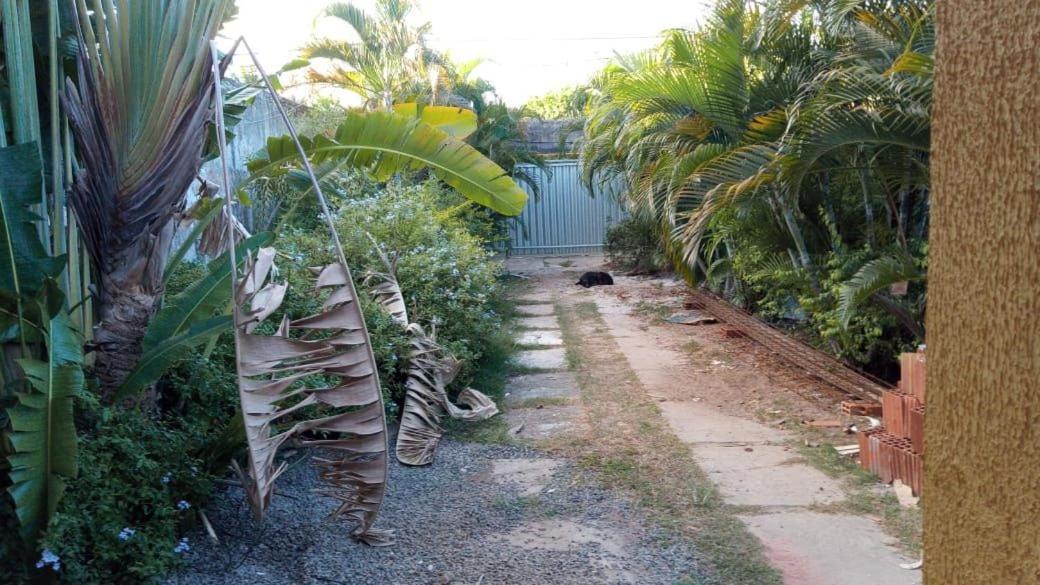 Zen Villas - Chales, Bem-Estar E Conexao Com A Natureza Lauro de Freitas Ngoại thất bức ảnh