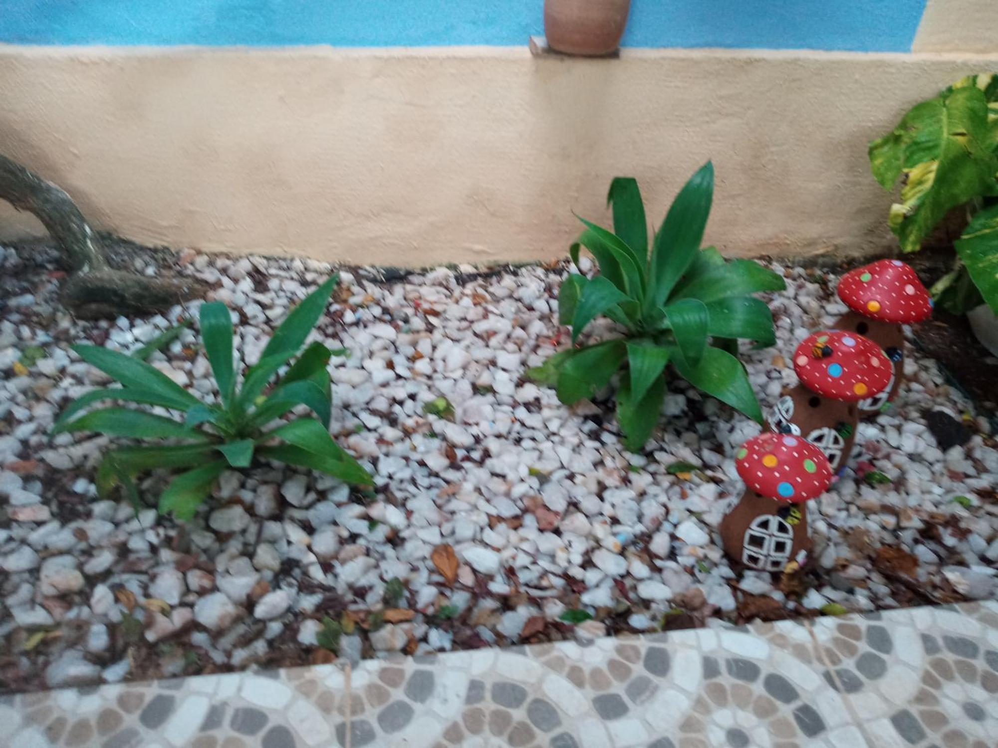 Zen Villas - Chales, Bem-Estar E Conexao Com A Natureza Lauro de Freitas Ngoại thất bức ảnh