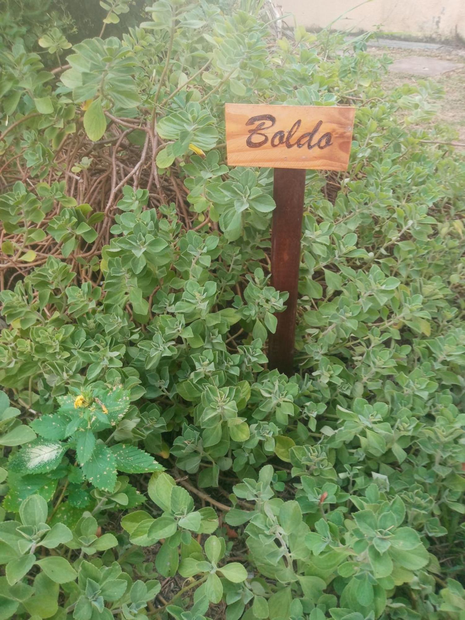 Zen Villas - Chales, Bem-Estar E Conexao Com A Natureza Lauro de Freitas Ngoại thất bức ảnh